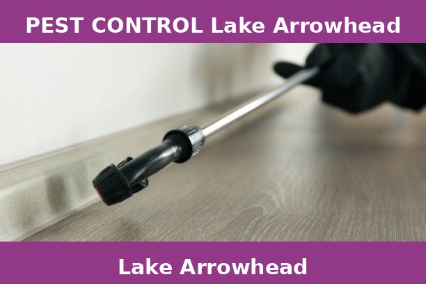 PEST CONTROL Lake Arrowhead
